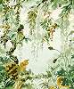 Akvarell botanikus levél mintás vlies posztertapéta mosható