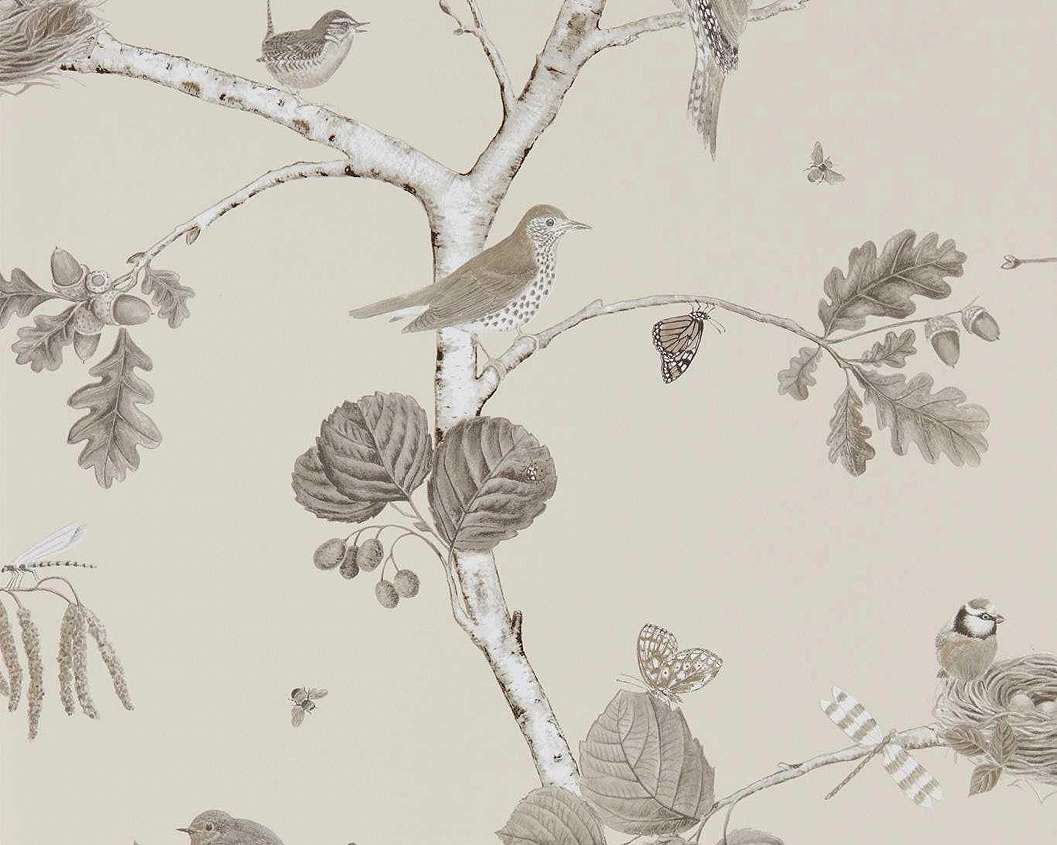 Angol Sanderson dekor tapéta madár levél mintával