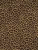 Animalier 002