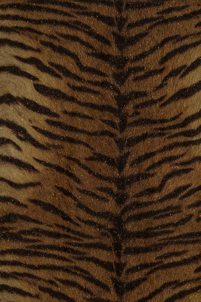 Animalier 012