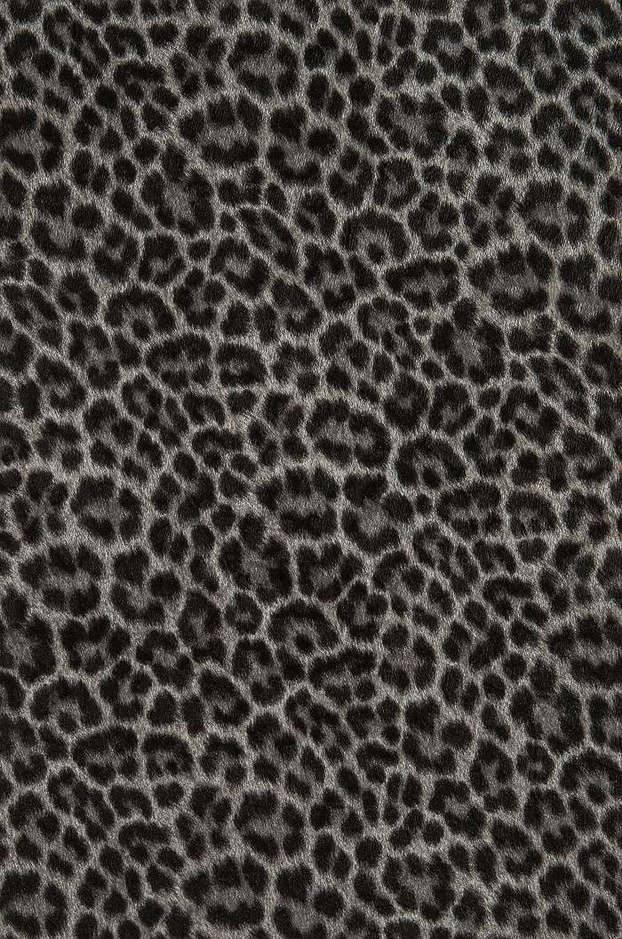 Animalier 017