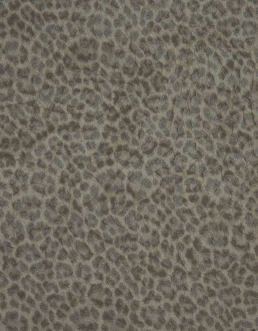 Animalier 018