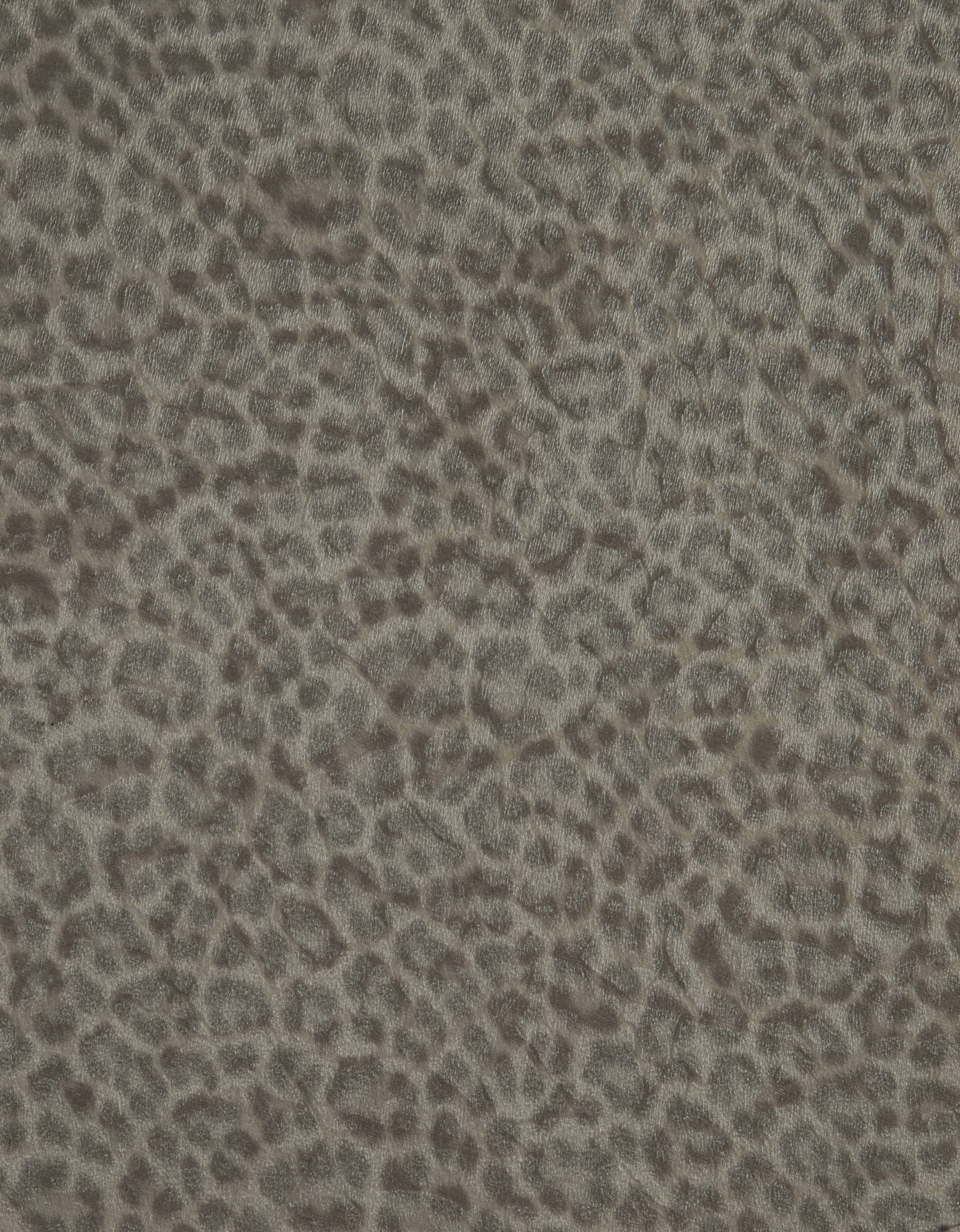 Animalier 018