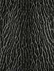 Animalier 057