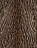 Animalier 058