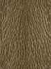 Animalier 061