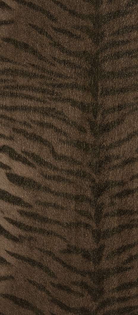 Animalier 063