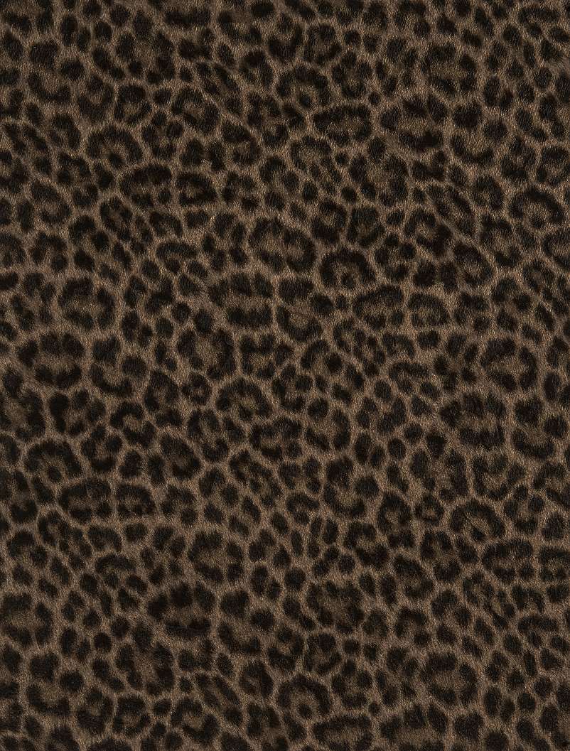 Animalier 066