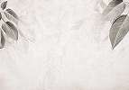 Anyag hatású fotótapéta krém színben oldalt nagy falevél mintával 368x254 vlies