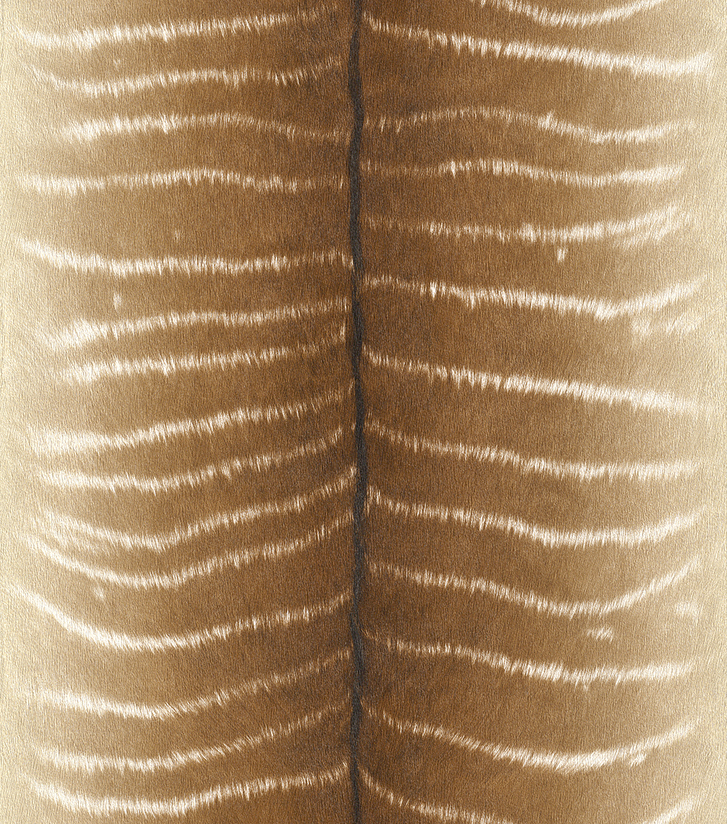 Aranybarna-fehér színű antilop hatású tapéta