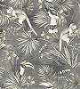 Arte luxus tapéta 100cm széles majom és trópusi dzsungeles mintával