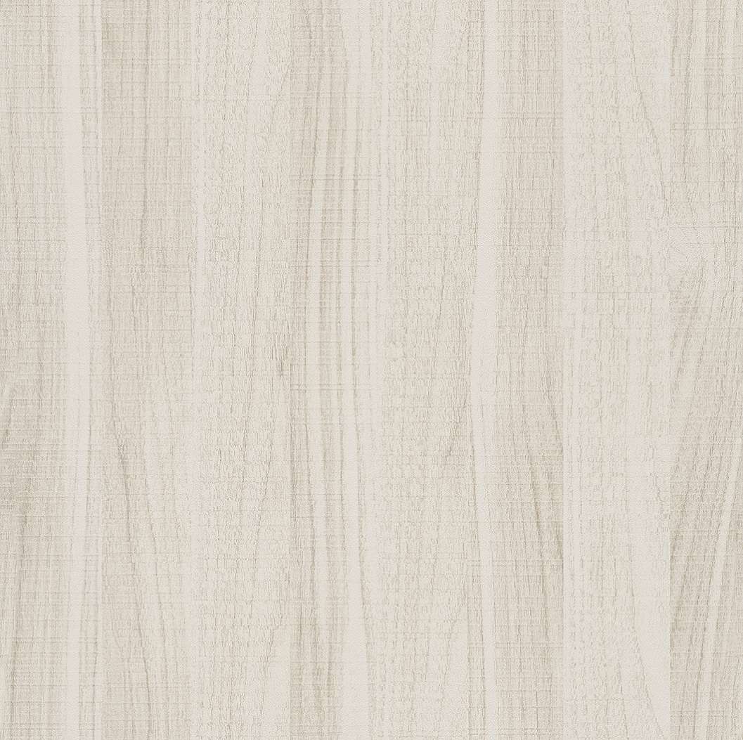 Bambino XVII 308