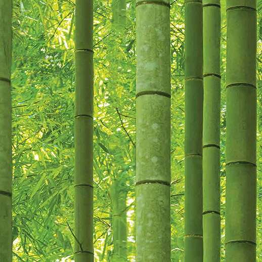 Bambusz mintás vlies vinyl mosható design tapéta 106cm széles