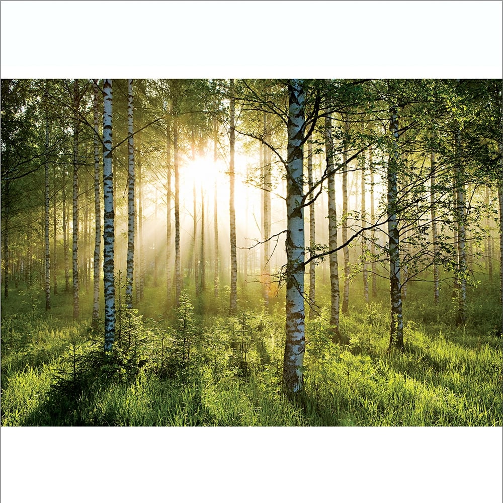 Békés erdő fali poszter