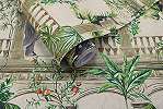 Bohám stílusú trópusi élő és állatvilágos design tapéta krém színben