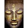 Buddha fali poszter