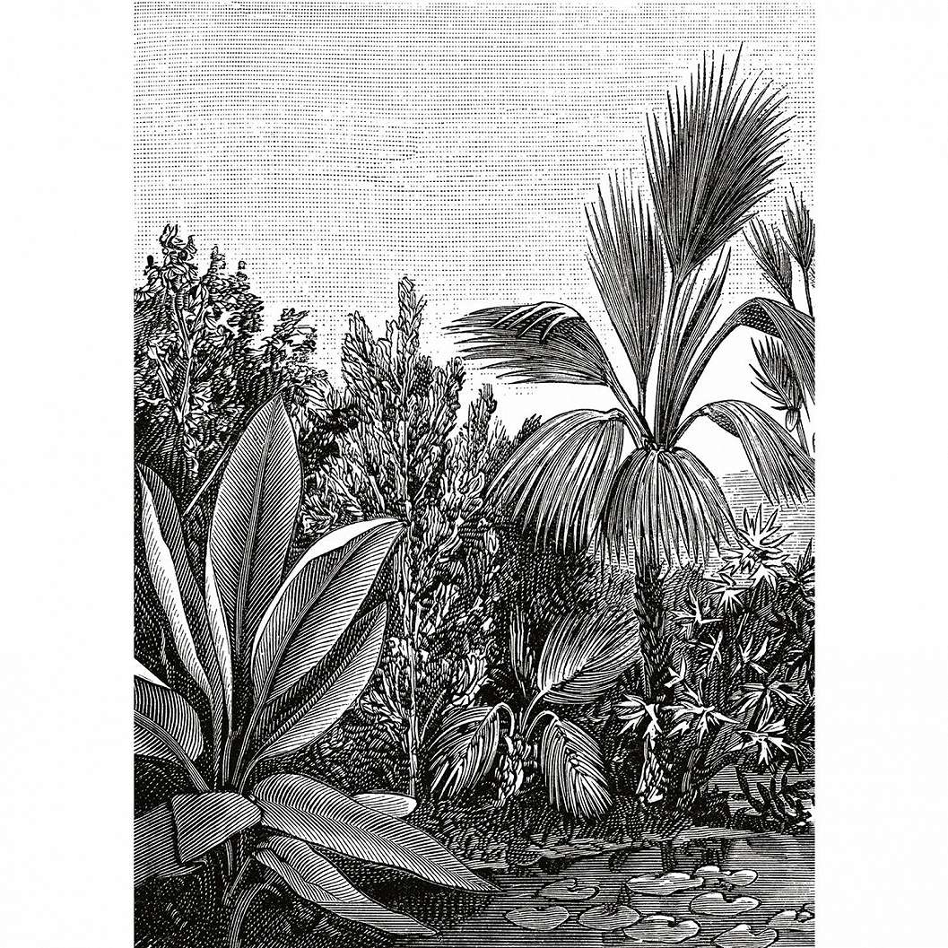 Caselio fekete fehér trópusi pálmafa mintás fali poszter