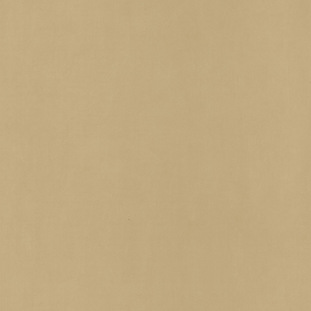 Caselio közép barna egyszínű gyerek tapéta