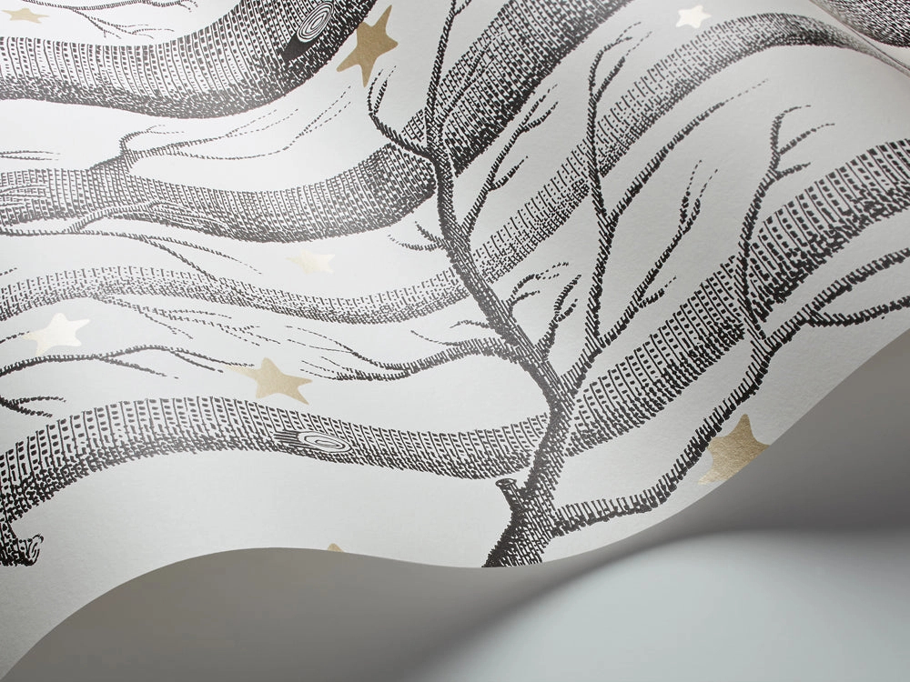 Cole and Son design tapéta nyírfa mintával