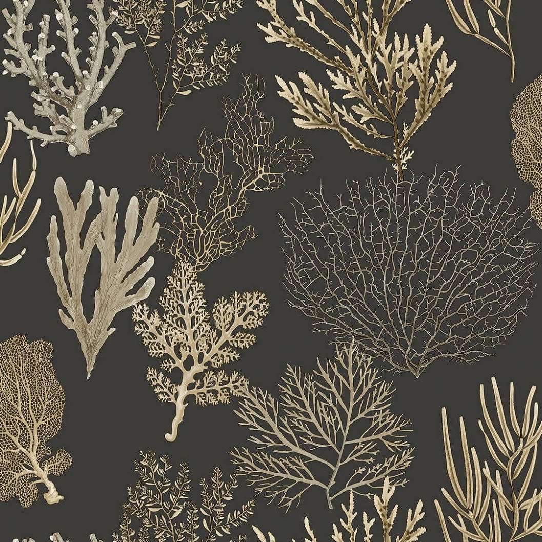 Dekor tapéta korall mintával fekete és beige színben