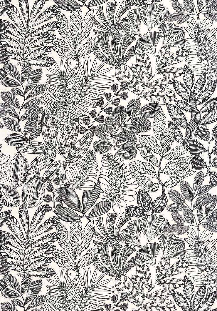 Dekor tapéta levél mintával fekete-fehér színben