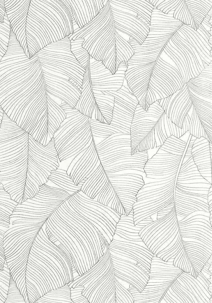 Dekor tapéta pálmalevél mintával fekete és krém színben