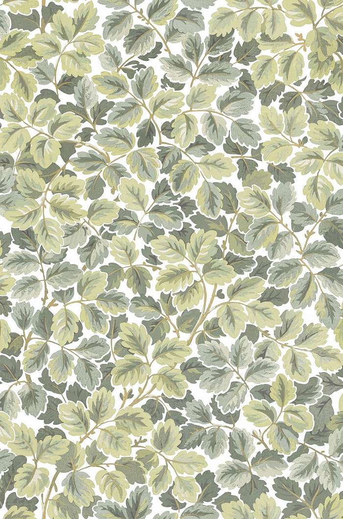 Dekor tapéta tölgyfalevél mintával világoszöld színben