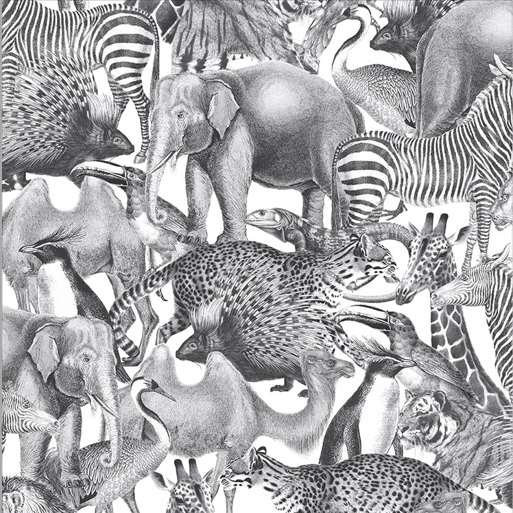 Design tapéta egzotikus állat mintákkal fekete fehér színvilágban