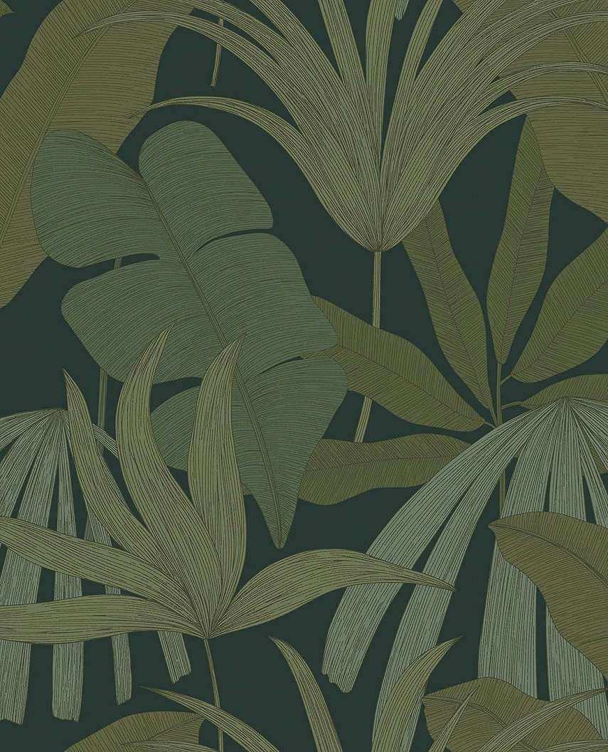 Design tapéta elegáns trópusi levél mintával zöld színben 68,6 cm széles