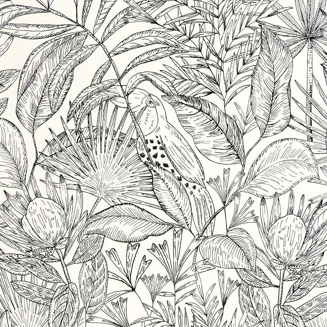 Design tapéta fekete fehér trópusi pálmalevél és tukán madár mintával