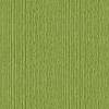Design tapéta zöld bambusz mintával