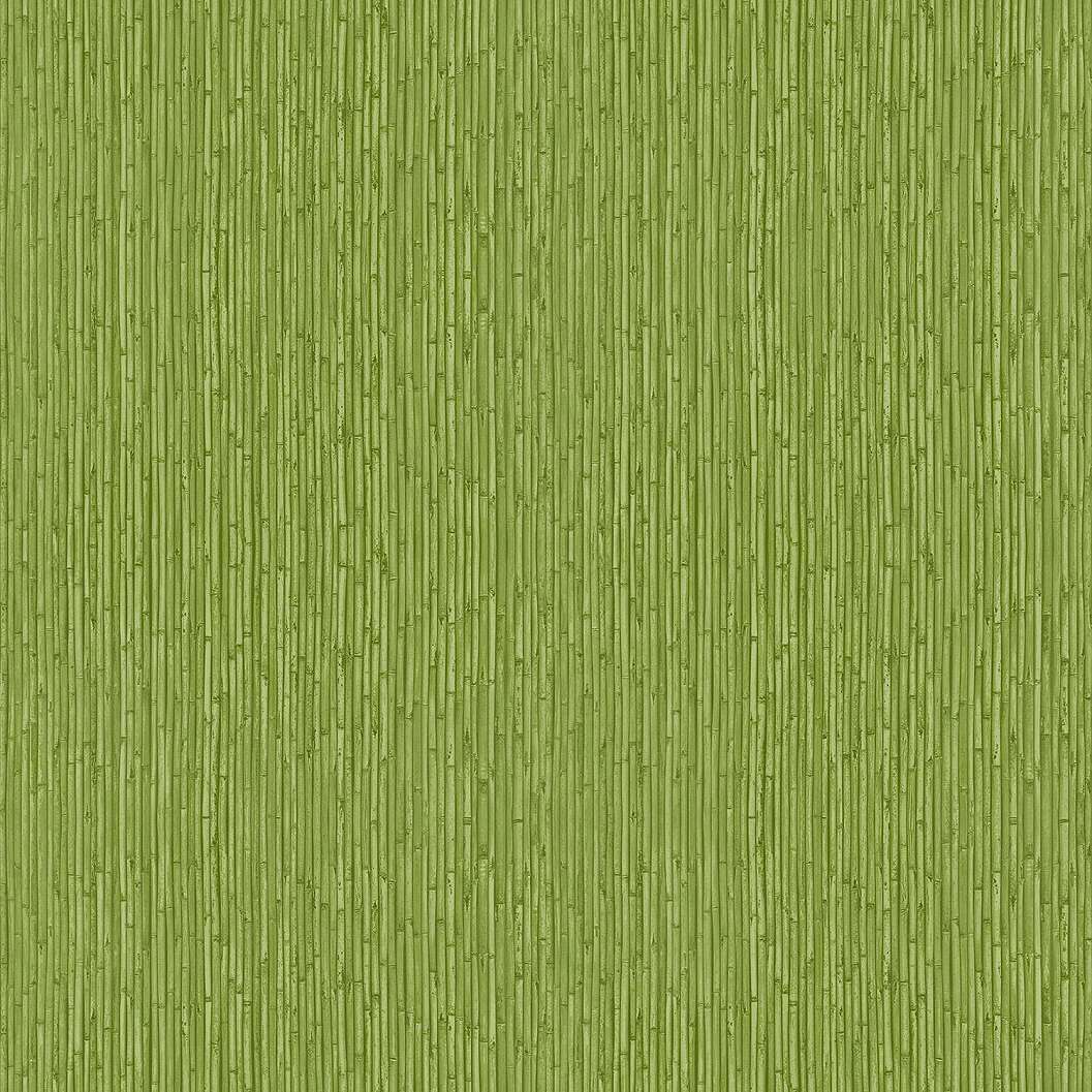 Design tapéta zöld bambusz mintával