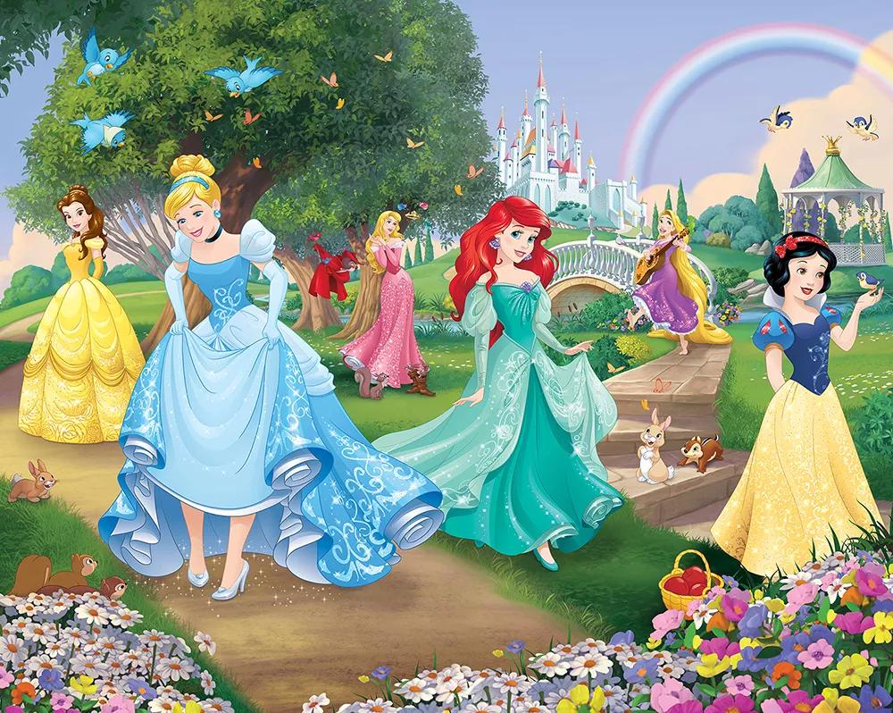 Disney hercegnők óriás fali poszter