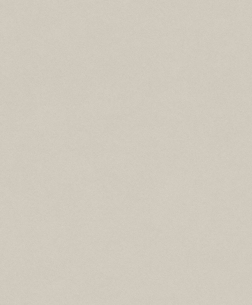 Egyszínű világosszürke modern tapéta