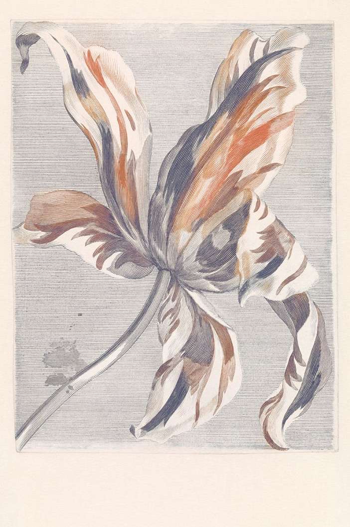 Eijffinger Masterpiece gigantikus festői tulipán fali poszter