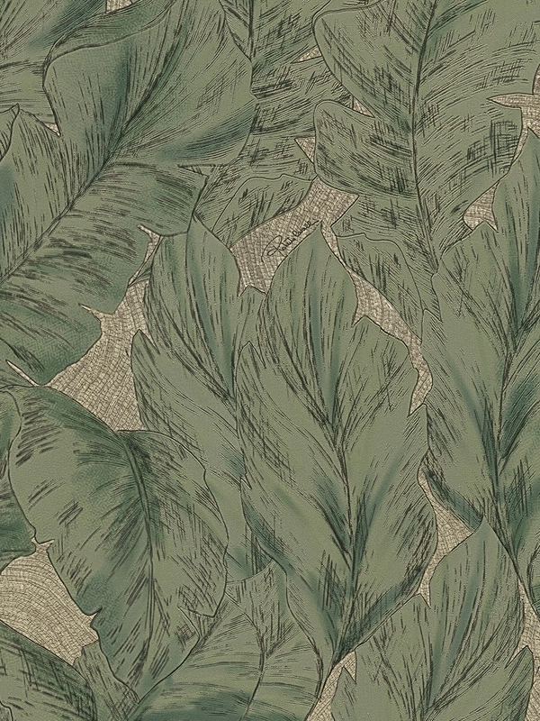 Elegáns Roberto Cavalli design tapéta tóp és zöld színű levél mintával