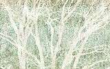 Erdei fa mintás posztertapéta zöld színben absztrakt mintával