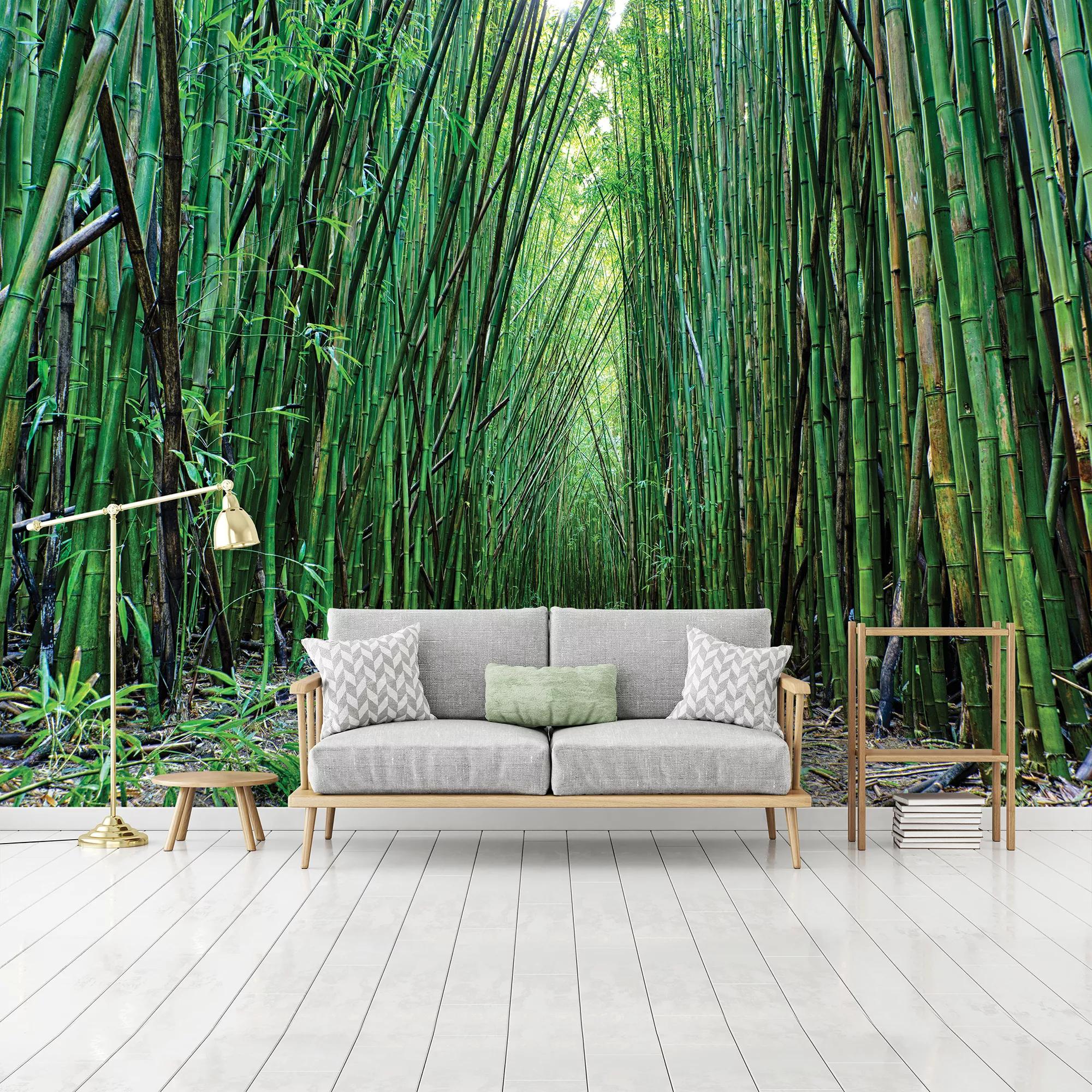 Fali poszter bambusz mintával 368x254 vlies