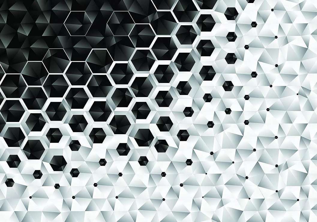 Fali poszter fekete-fehér színvilágban modern méhsejt mintával 368x254 vlies