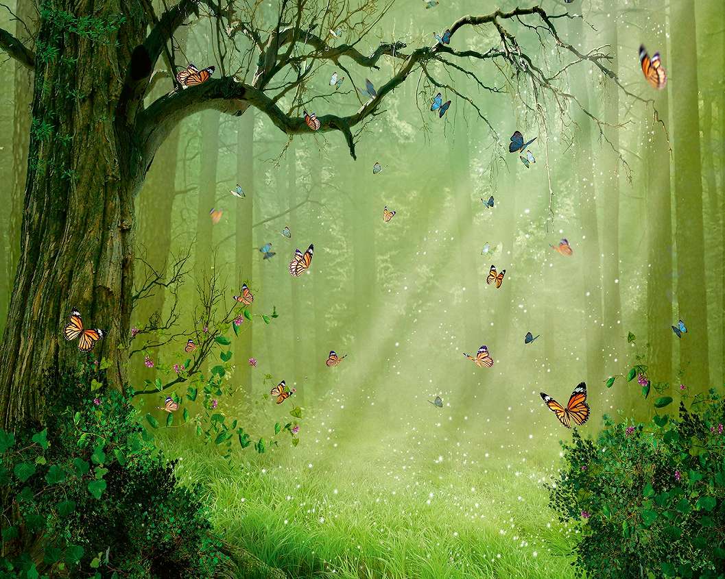 Fali poszter gyerekszobába pillangó és erdős mintával 368x254 vlies