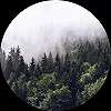 Fali poszter kör alakban ködös erdei táj mintával