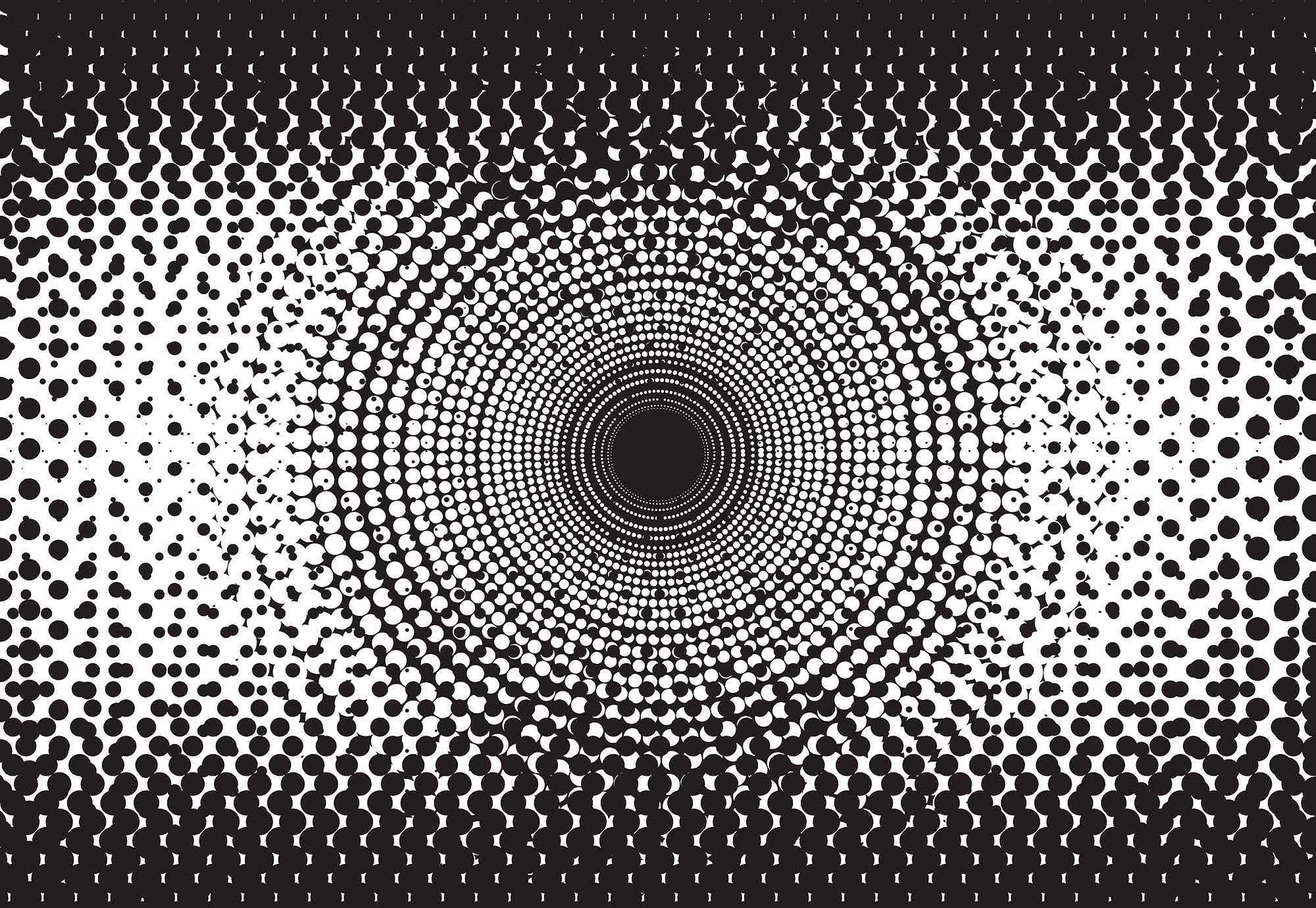 Fali poszter modern minimalista fekete-fehér színvilágban, kör mintával 368x254 vlies