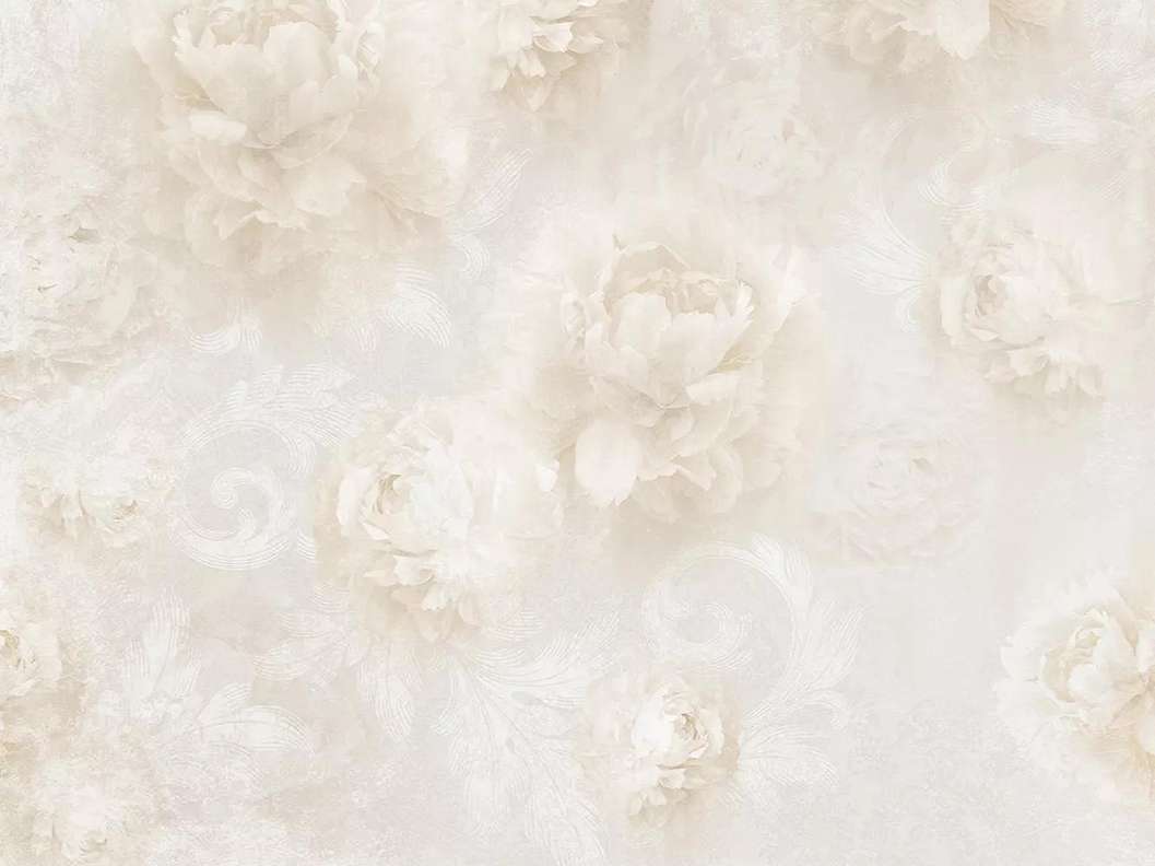 Fali poszter romantikus fehér rózsa mintával