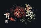 Fali poszter romantikus virágmintával