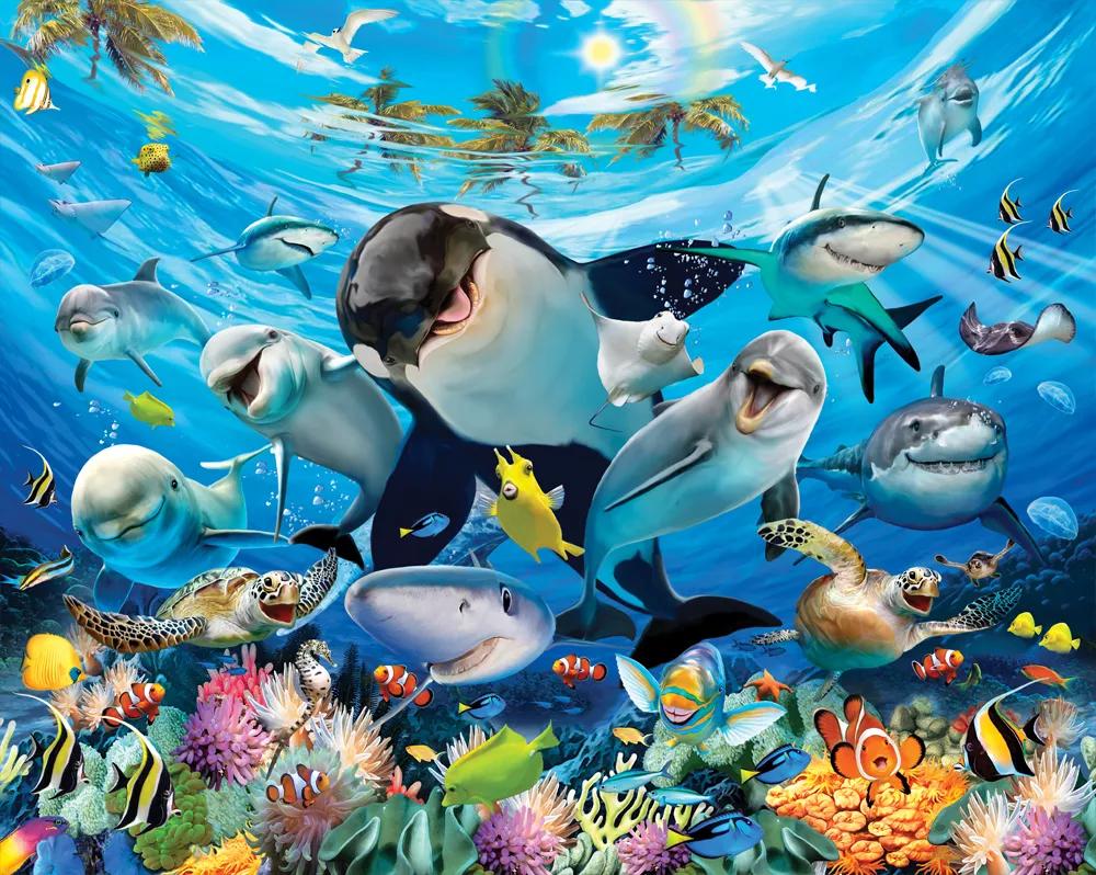Fali poszter vicces tengeri állatokkal