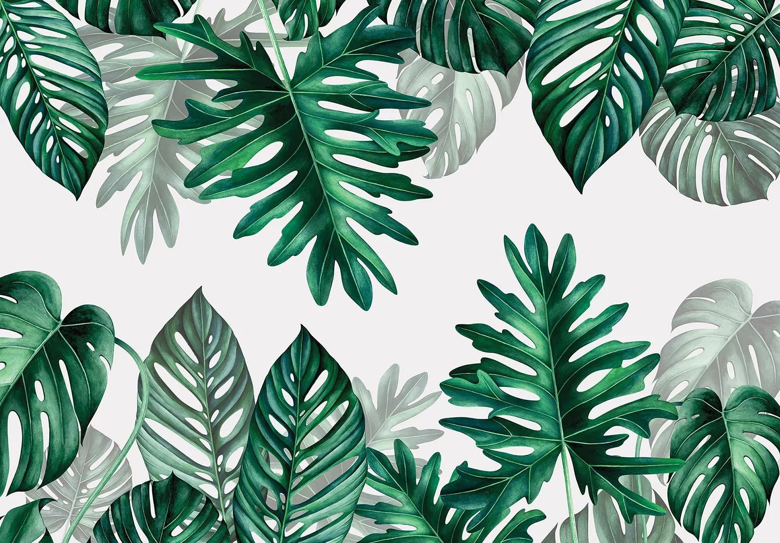 Fali poszter zöld trópusi filodendron pálmalevél mintával 368x254 vlies