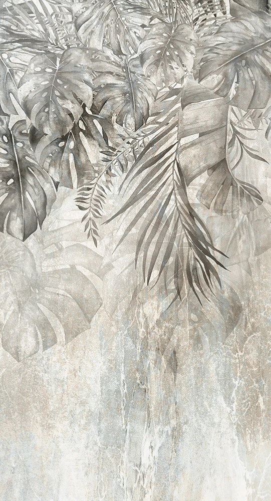 Fali posztertapéta óriás monsterra pálmaleveles egyedi méretben