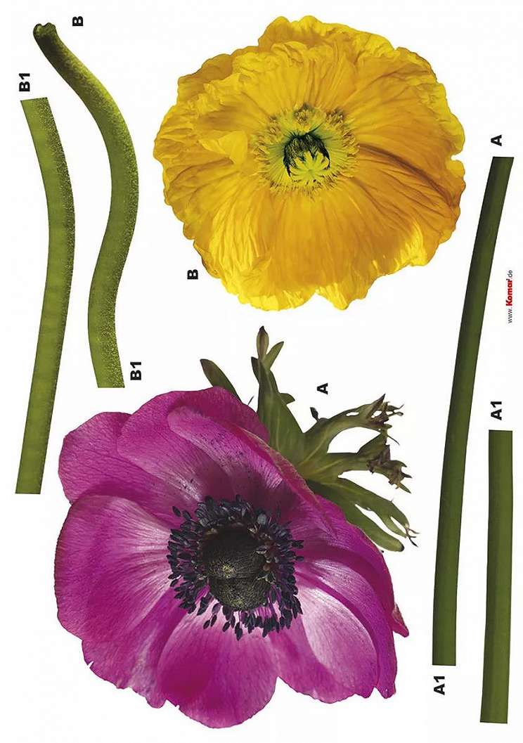 Falmatrica két színes virágmintával