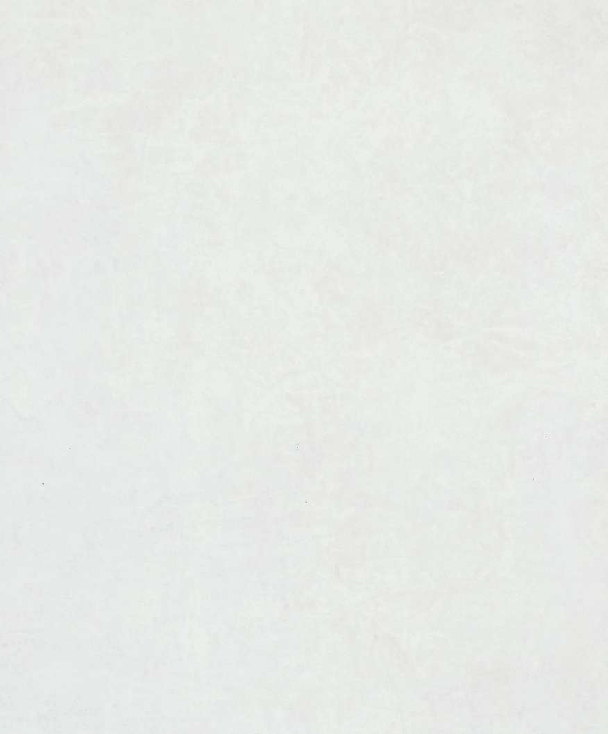Fehér egyszínű vlies dekor tapéta