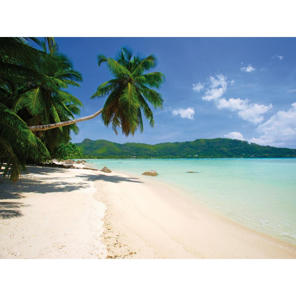 Fehér homok, tengerpart, pálmafák